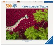 Ravensburger Ein Meer aus Rot 500 Teile Puzzle