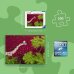 Ravensburger Ein Meer aus Rot 500 Teile Puzzle