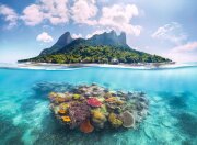 Ravensburger Insel und Korallenwelt 500 Teile Puzzle