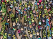 Ravensburger Puzzle Schwimmender Markt, Indonesien 500 Teile