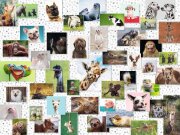 Funny Animals Collage 1500 Teile Puzzle