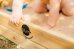 Plum Sandkasten aus Holz mit Aufbewahrungsbox