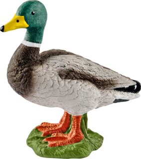 Schleich 13824 Farm World Erpel