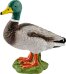 Schleich 13824 Farm World Erpel