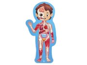 Hape Puzzle Mein Körper