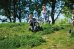 Winther VIKING EXPLORER OFF-ROAD Dreirad groß – Das robuste Dreirad für kleine Entdecker (4-8 Jahre)
