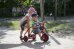 Winther MINI Ben Hur mit Pedalen - Vielseitiges Kinderfahrzeug für 1-2 Kinder (1-4 Jahre) – Rutschdreirad, Taxi und Roller in einem