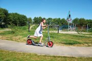 Winther VIKING EXPLORER StarScooter Maxi Chrom Roller...