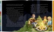 Coppenrath Emil Einstein (Bd.3) - Das fabelhafte...