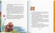 Coppenrath Emil Einstein (Bd.3) - Das fabelhafte Schatzfinde-Gerät
