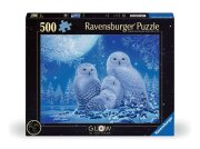 Ravensburger Eulen im Mondschein