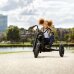 BERG Gokart Choppy Neo 2.0 BFR Dreirad / Tricycle