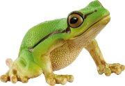schleich® WILD LIFE 14882 Europäischer Laubfrosch