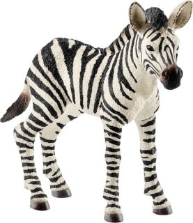 Schleich Wild Life 14811 Zebra Fohlen