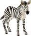 Schleich Wild Life 14811 Zebra Fohlen