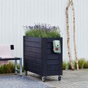 PLUS Cubic Blumenkasten