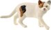 Schleich Farm World 13894 Amerikanische Kurzhaarkatze