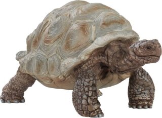 Schleich Wild Life 14824 Riesenschildkröte