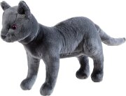 Schule der magischenTiere Kater Karajan gross